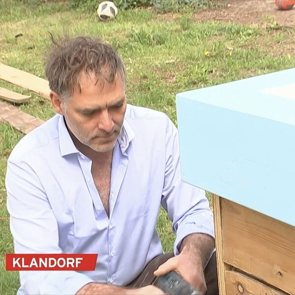 Klandorf, mon amour — Foto 9