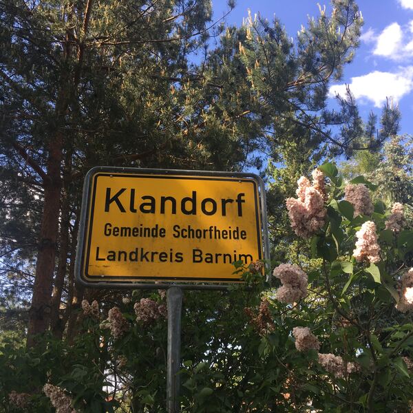 Klandorf, mon amour — Foto 16