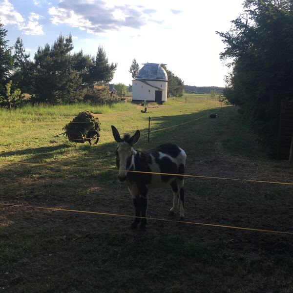 Klandorf, mon amour — Foto 11